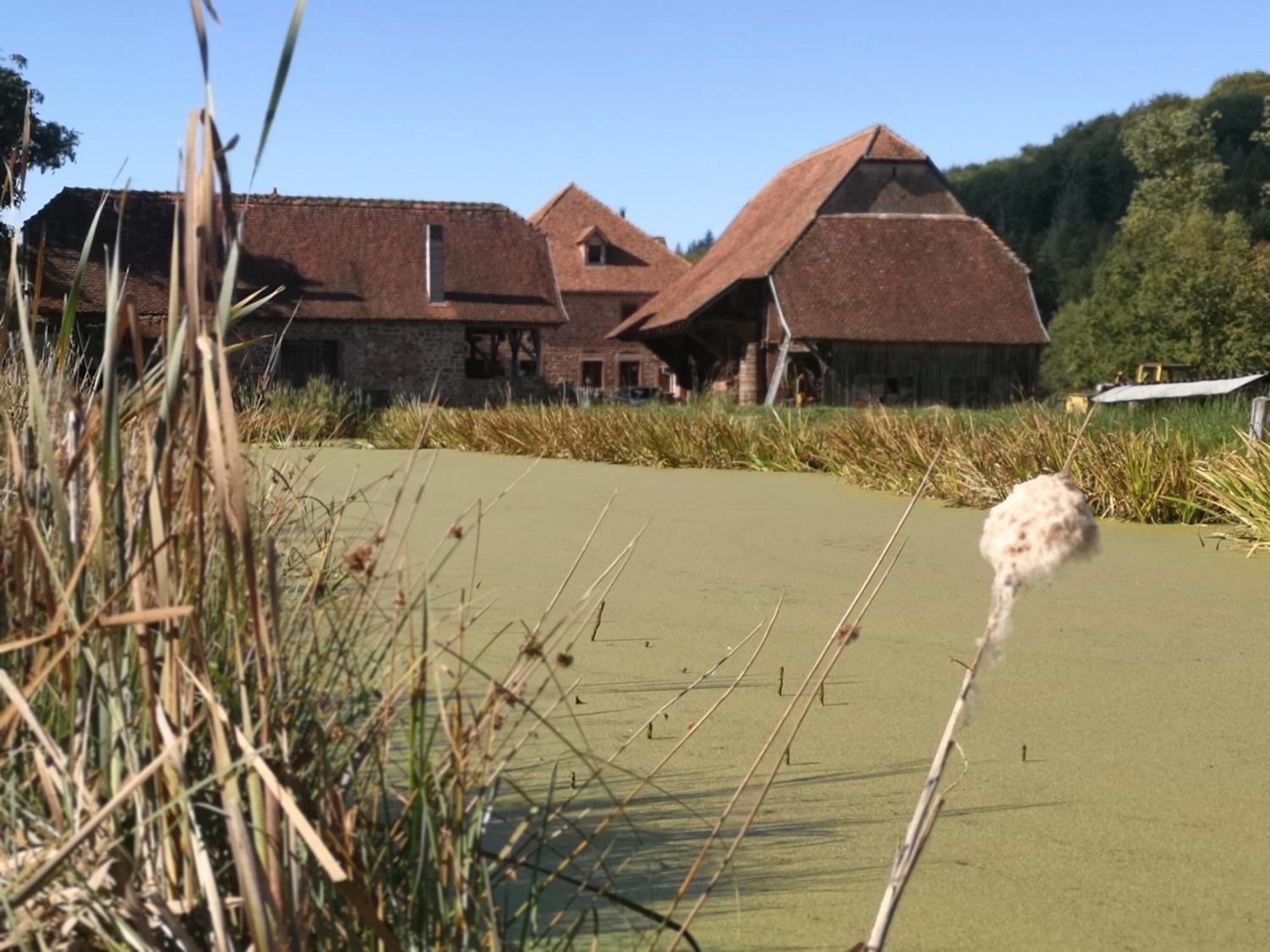 Maison D'Hotes De Charme - Ancien Moulin En Pleine Nature - La Paulusmuehle Soucht Εξωτερικό φωτογραφία