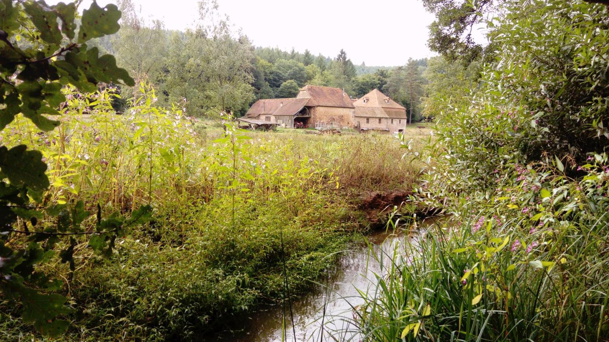 Maison D'Hotes De Charme - Ancien Moulin En Pleine Nature - La Paulusmuehle Soucht Εξωτερικό φωτογραφία