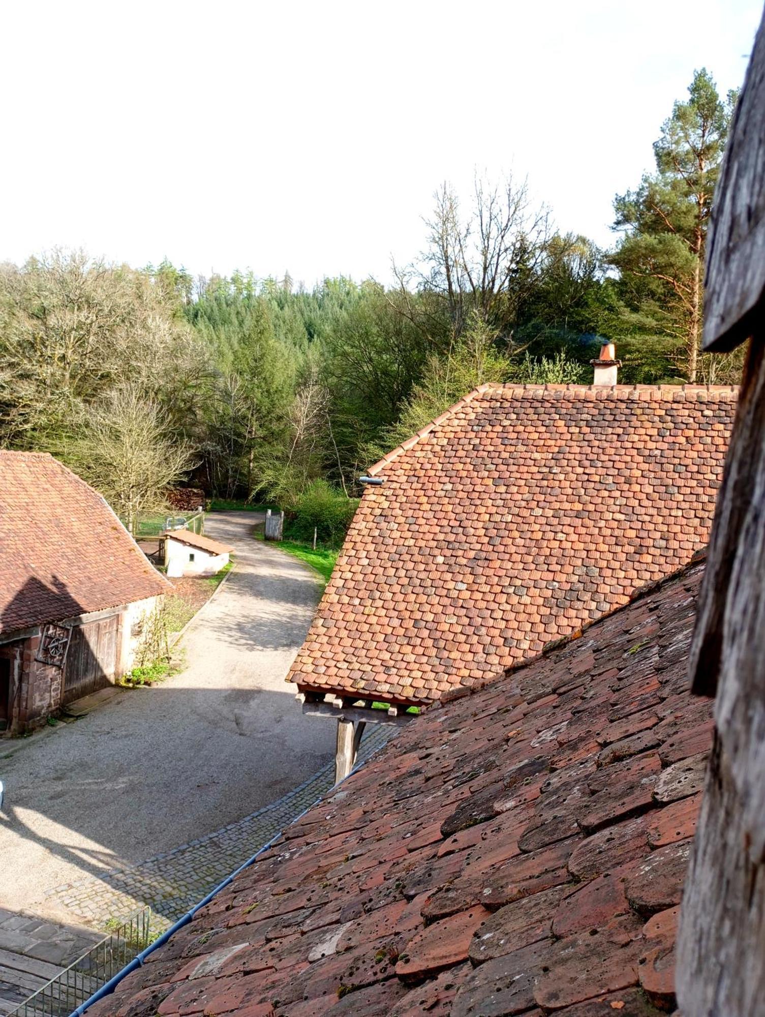 Maison D'Hotes De Charme - Ancien Moulin En Pleine Nature - La Paulusmuehle Soucht Εξωτερικό φωτογραφία