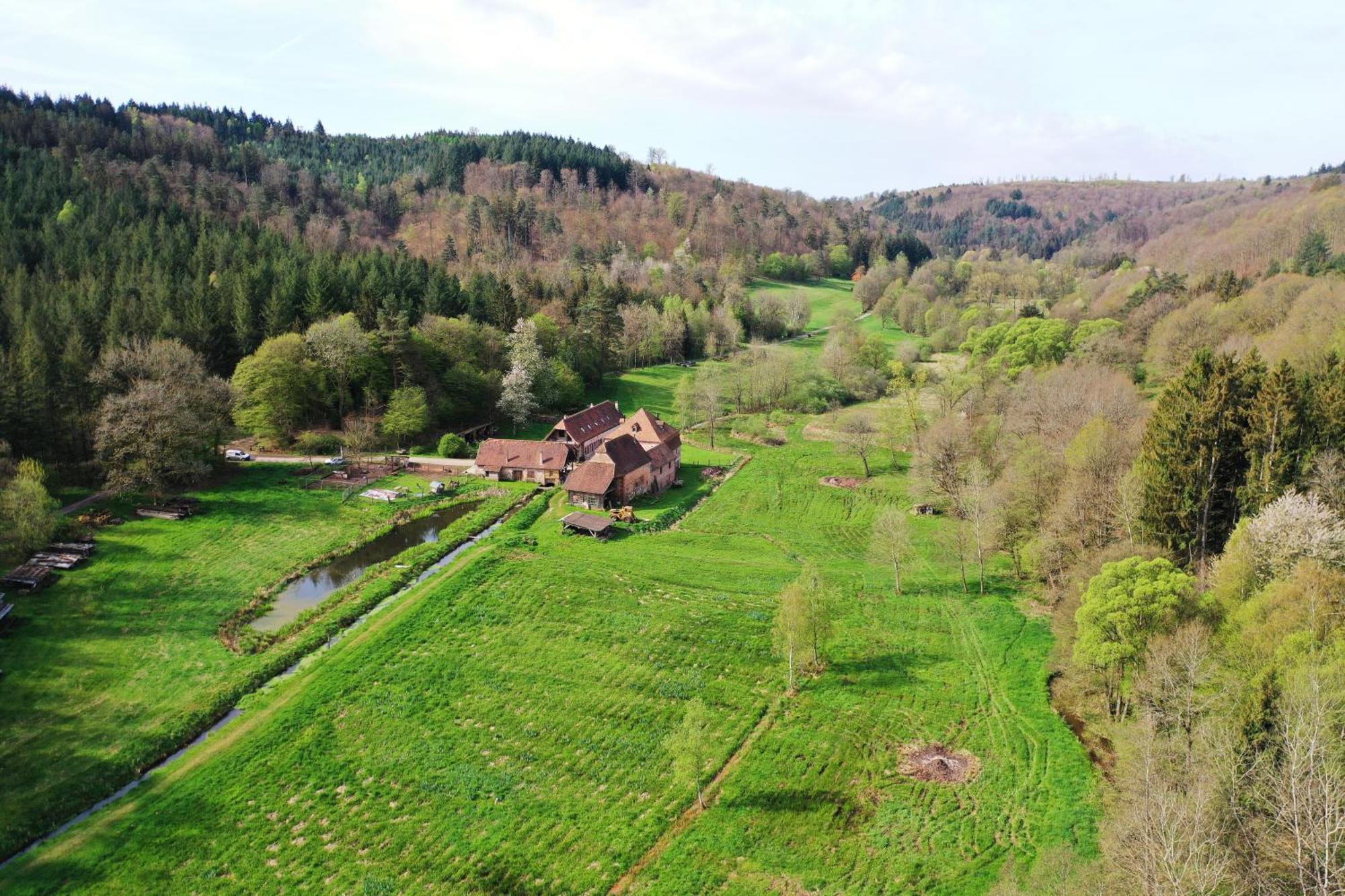 Maison D'Hotes De Charme - Ancien Moulin En Pleine Nature - La Paulusmuehle Soucht Εξωτερικό φωτογραφία