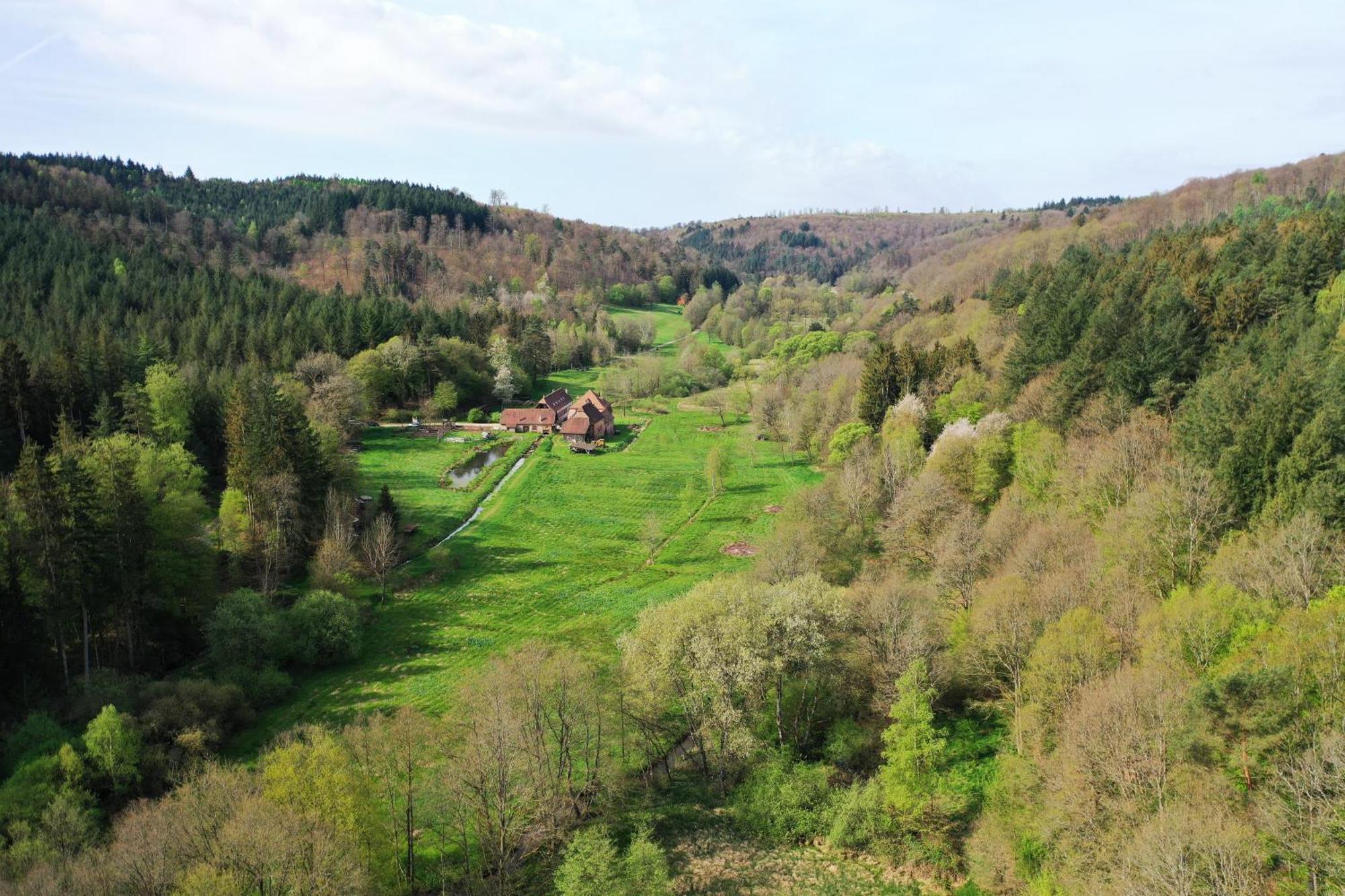 Maison D'Hotes De Charme - Ancien Moulin En Pleine Nature - La Paulusmuehle Soucht Εξωτερικό φωτογραφία