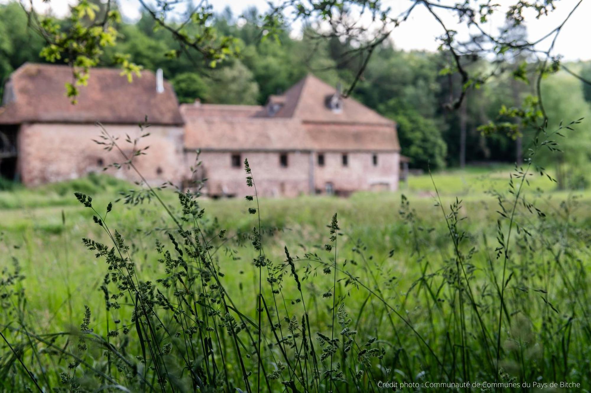 Maison D'Hotes De Charme - Ancien Moulin En Pleine Nature - La Paulusmuehle Soucht Εξωτερικό φωτογραφία